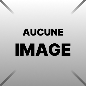 Support gauche des phares